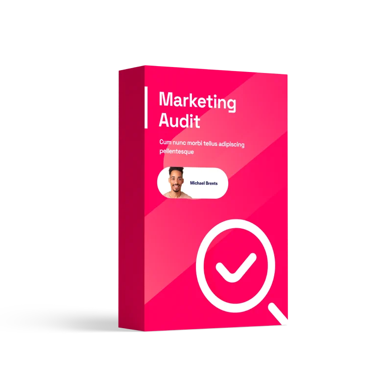 marketing2-product-pic1 Marketing Audit